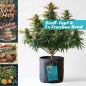 Preview: Grow Bucket Living Soil organic